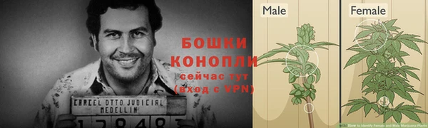 бутират Корсаков
