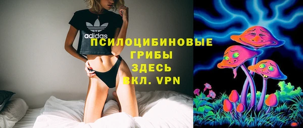 эйфоретик Коряжма
