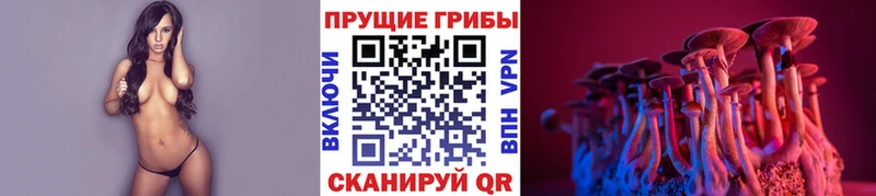 Галлюциногенные грибы мицелий  Новочеркасск 