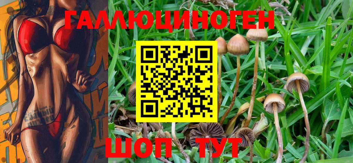 Галлюциногенные грибы MAGIC MUSHROOMS Новочеркасск