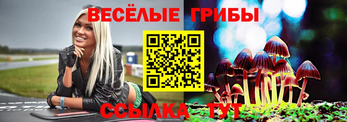где найти   Галлюциногенные грибы Psilocybine cubensis  Псилоцибиновые грибы Magic Shrooms  Вход с VPN  Новочеркасск 