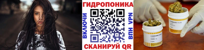 Марихуана план  Новочеркасск 